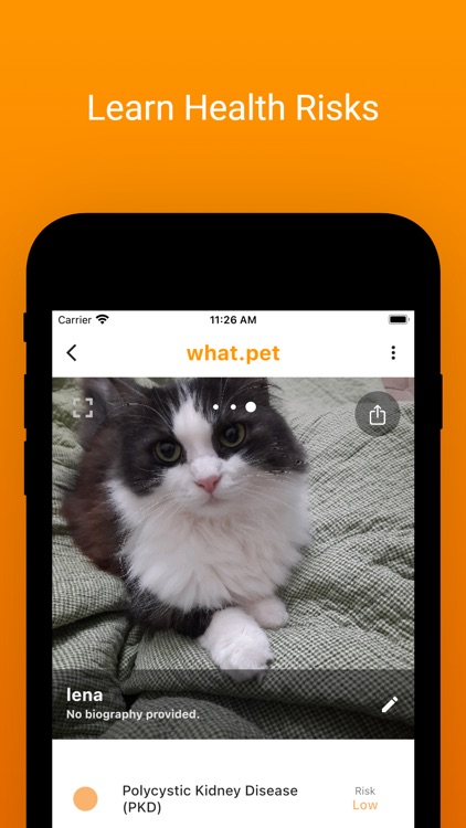 What.pet - Cats & Dogs AI App screenshot-4