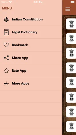 Game screenshot Indian Constitution - Offline apk