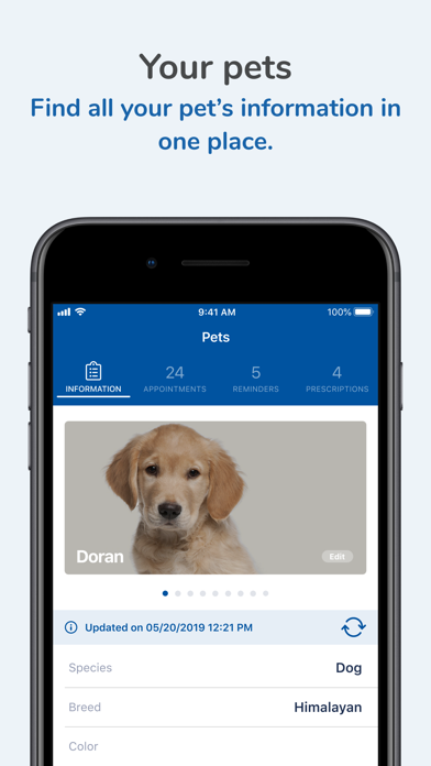 Brandon Lakes Animal Hospital Screenshot