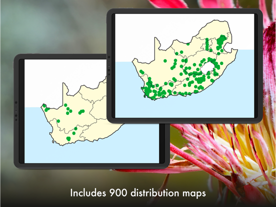 Wildflowers of South Africa iPad screenshot 5 - Reference app