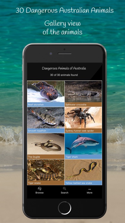 Dangerous Animals of Australia screenshot-3