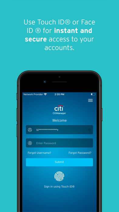 CitiManager – Corporate Cards Screenshot