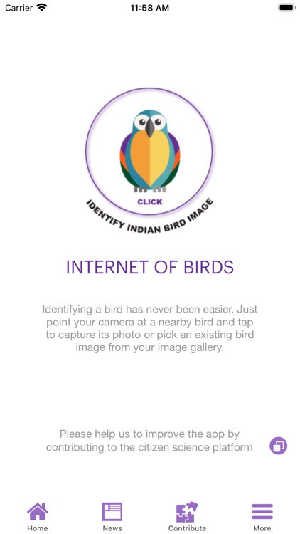 Internet of Birds