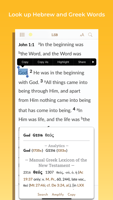 Legacy Standard Bible Screenshot