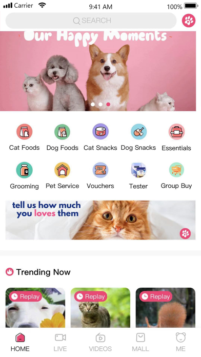iPET - A Pet’s Community Screenshot