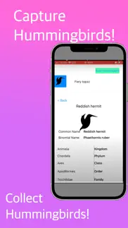 hummingbird identifier iphone screenshot 2