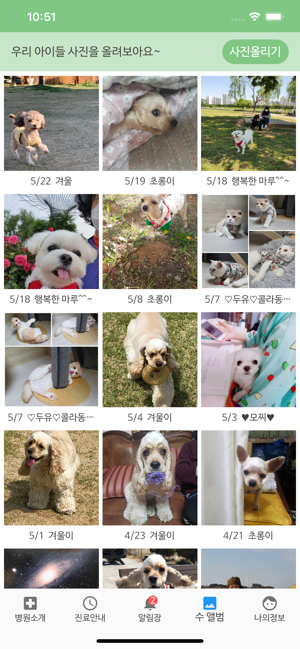 24시 수 동물병원(圖5)-速報App