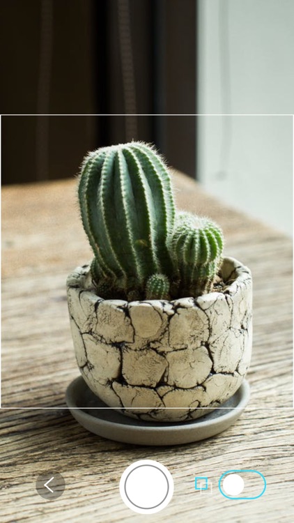 Garden Camera screenshot-3