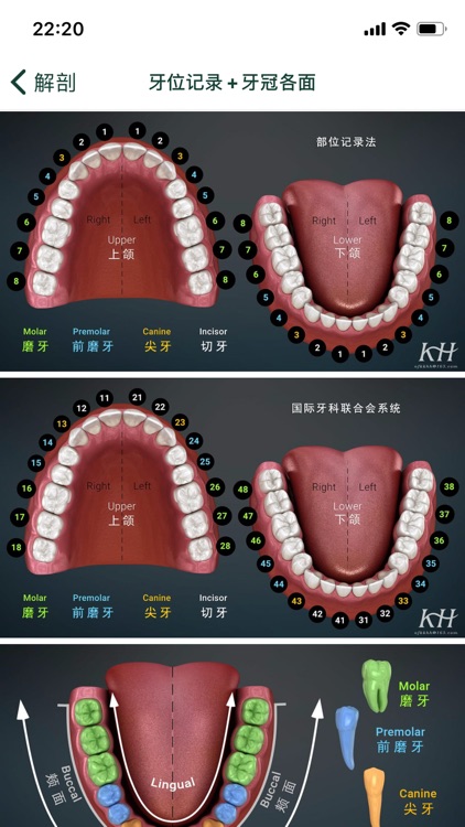 口腔图谱 screenshot-7