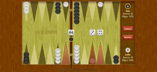 Backgammon Pro - Screenshot 2