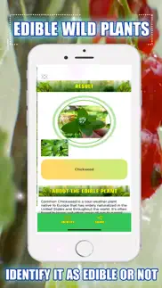 edible wild plants problems & solutions and troubleshooting guide - 1