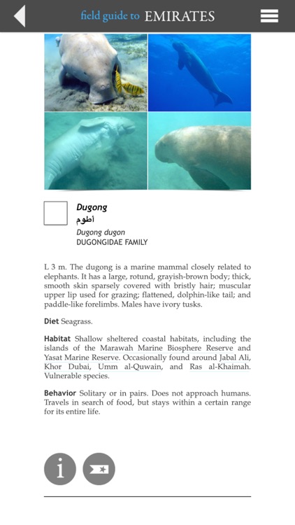 Field Guide to Emirates screenshot-6