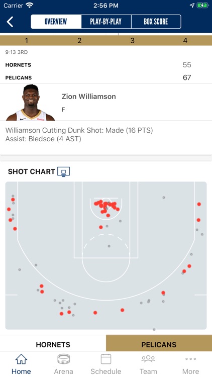 New Orleans Pelicans screenshot-4
