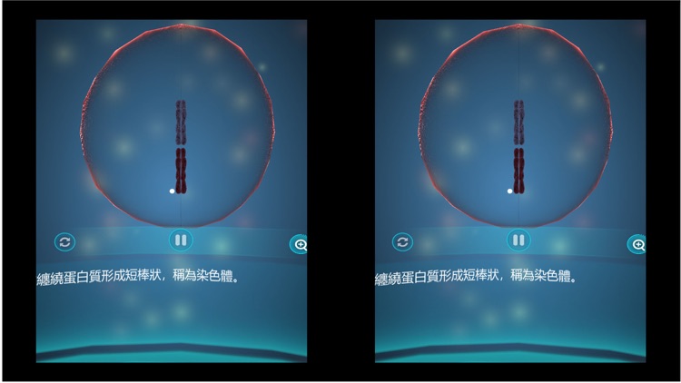 細胞分裂、減數分裂與生物的遺傳 screenshot-4