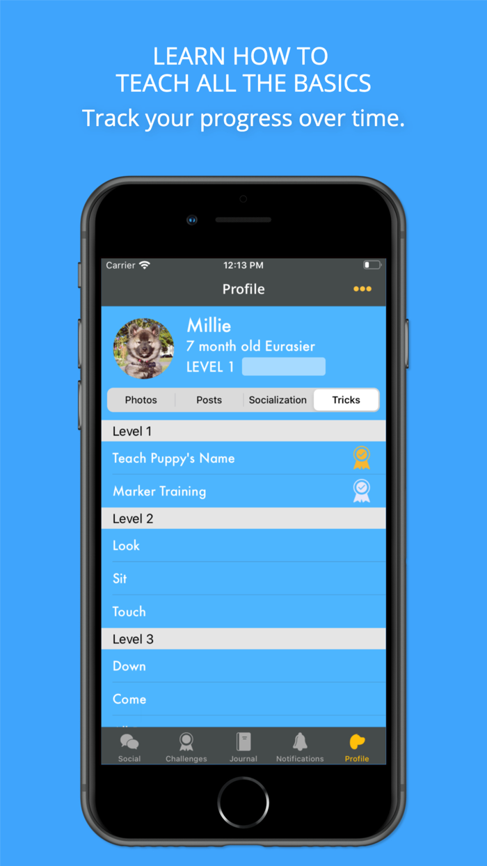 Social Puppy Dog Training App
