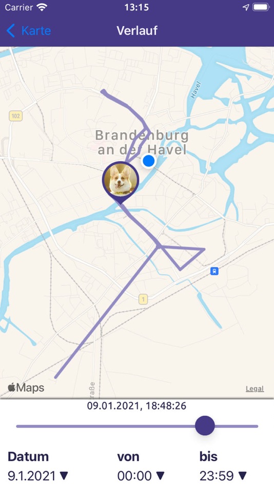 #3. GPS Companion (iOS) 由: haveltec GmbH