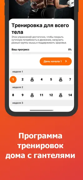 Game screenshot Тренировка с гантелями дома hack