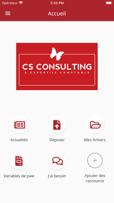 Screenshot #1 pour CS CONSULTING