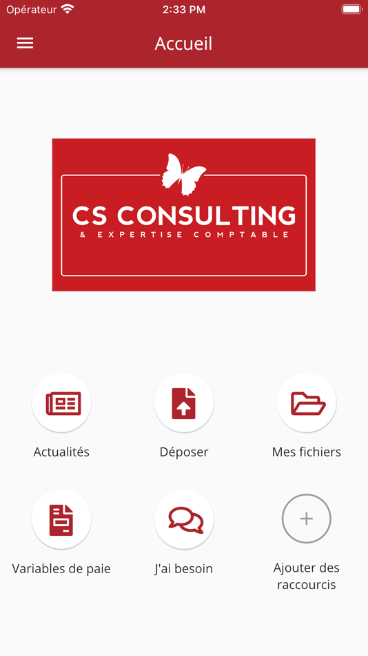 #1. CS CONSULTING (iOS) 由: MyCompanyFiles