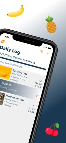 Game screenshot DietAssistant: Calorie Counter apk