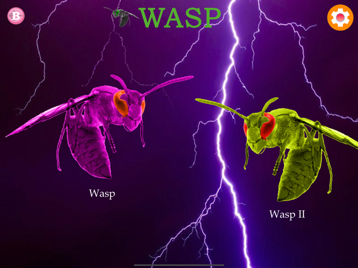 Solitaire Card Collection