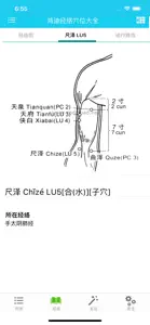 Meridian Acupoint Handbook HD screenshot #3 for iPhone