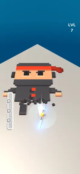 Game screenshot Voxel Ninja hack