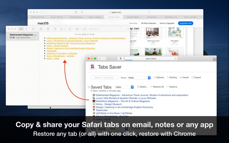 How to cancel & delete tabs saver for safari 3