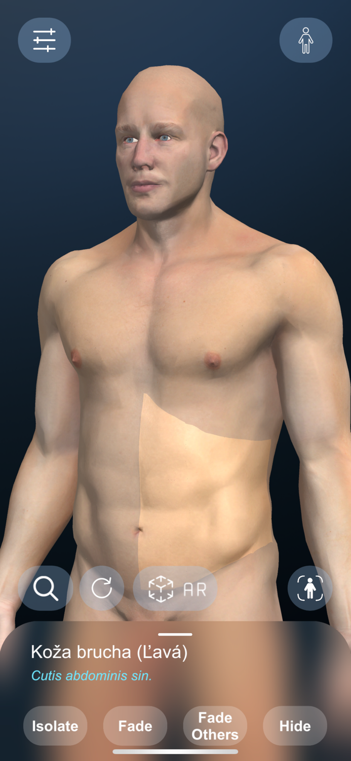 High School Anatomy 21