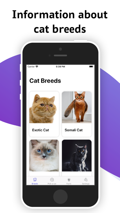 Screenshot #1 pour Cat Breeds - Information Facts