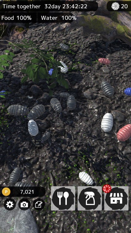 Roly-Poly Friends screenshot-3