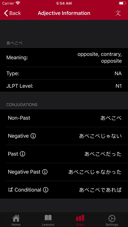Japanese Conjugation City screenshot-7
