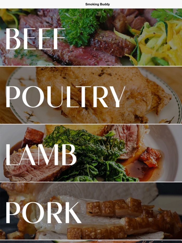 Smoking Buddy BBQ Temp  Time