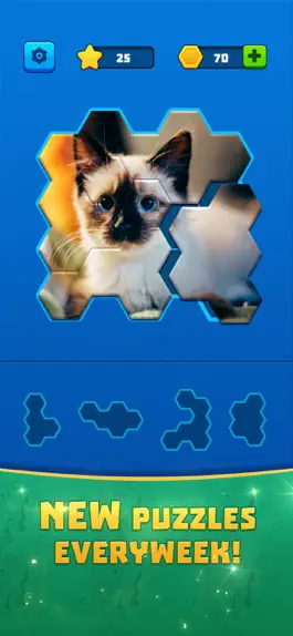 Game screenshot Hex Block Jigsaw mod apk