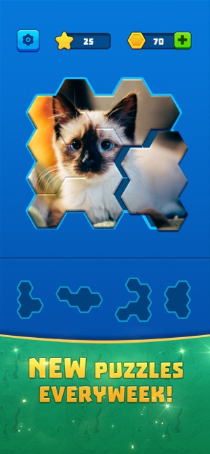Block Hexa Jigsaw