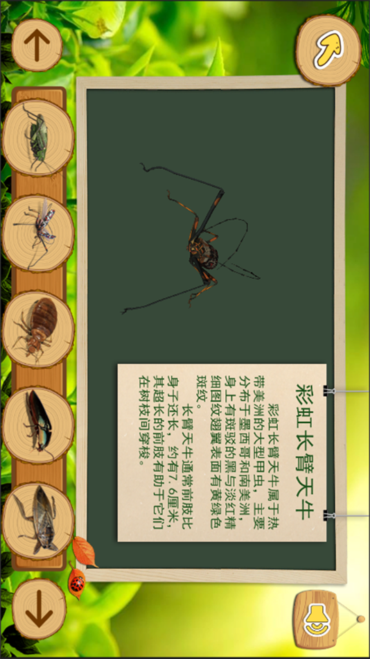 #1. 昆虫世界大揭秘 (iOS) Podle: Cinergie