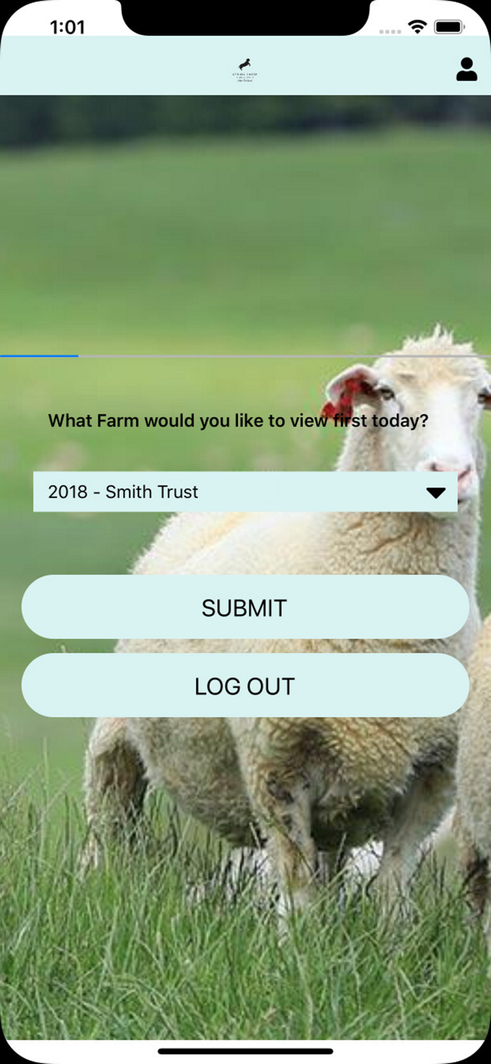 Madcap Farmer Springsheep