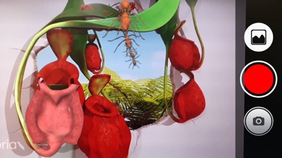 4D Museum Screenshot