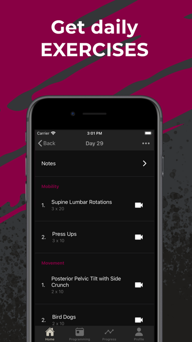 Renegade Rehabilitation Screenshot