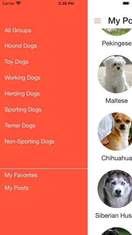 DogsHouse screenshot-3