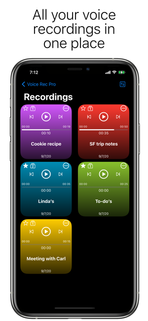 ‎Professional Voice Recorder Screenshot