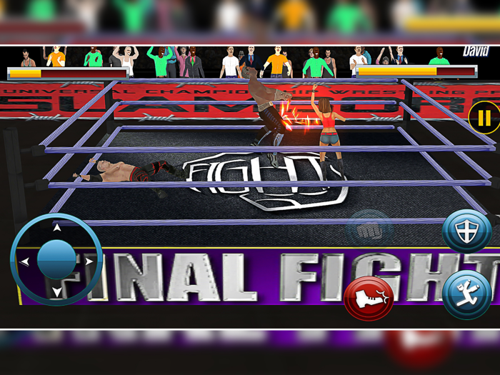 World Wrestling Fighting 2020