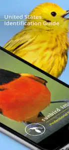 Bird Id USA - backyard birds screenshot #2 for iPhone