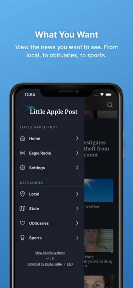 Game screenshot Little Apple Post hack