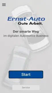 ernst-auto digital problems & solutions and troubleshooting guide - 2