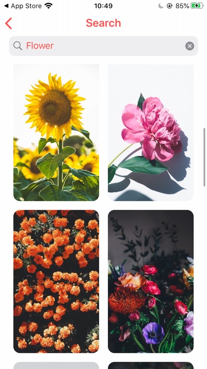 Live Wallpaper 4K Maker