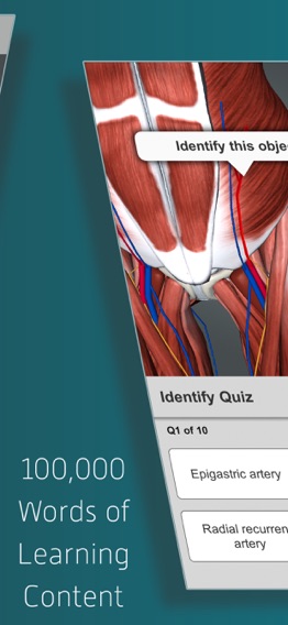 Anatomusのおすすめ画像7