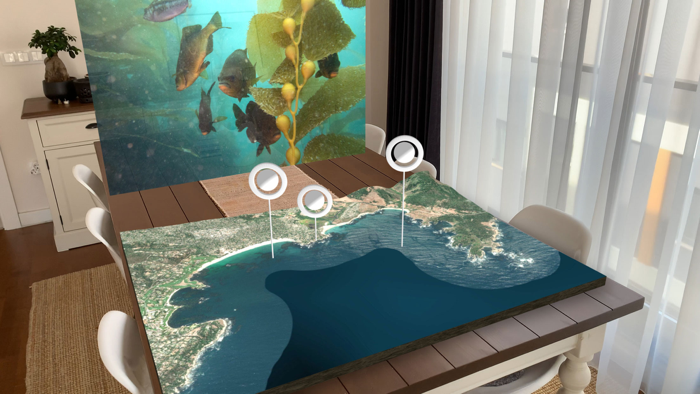 Xplore Dive into Point Lobos