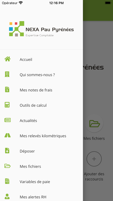 Screenshot #2 pour Nexa Pau Pyrénées