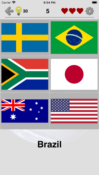 Flags of All World Countries Screenshot